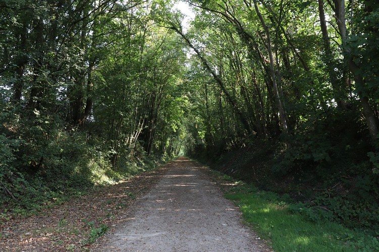 Voie verte Haute Sarthe Alpes Mancelles