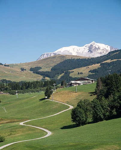 Walking trail to Leutaz