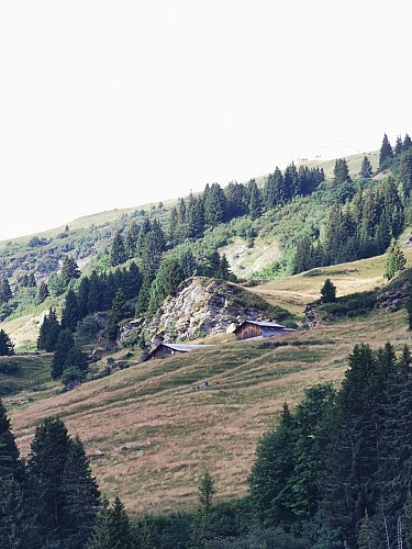 Caminata Chemin de Lady les Granges