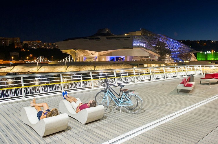 Pont Raymond Barre et musée des Confluences à Lyon la nuit