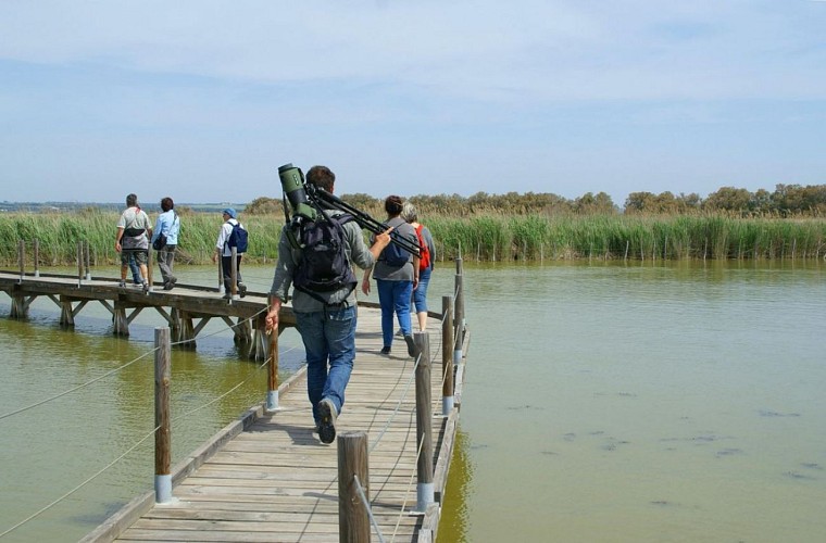 Camargue gardoise - Scamandre Discovery Centre