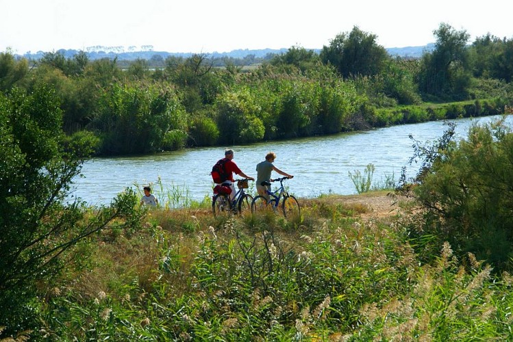 A vélo le long du canal dans le Gard