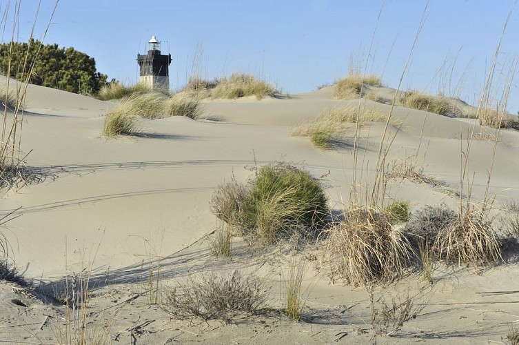 Espiguette beach and lighthouse