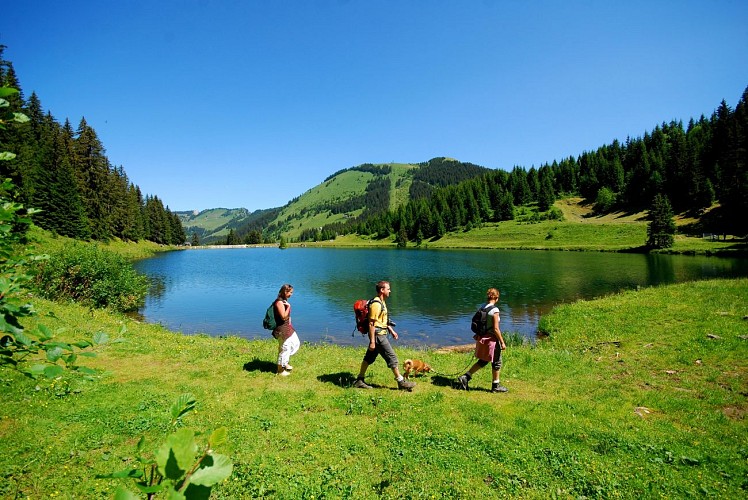 Walking route - Super Châtel and the 3 lakes