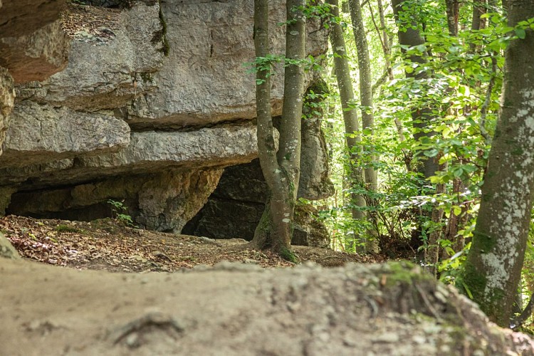 Boucle de la Tête de la Mandallaz