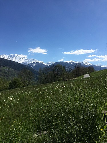 Vukmix : the fort trail