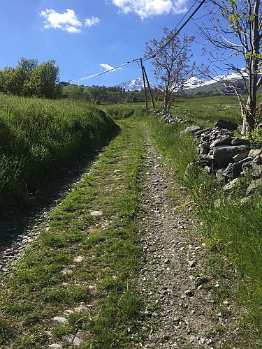 Vukmix : the fort trail