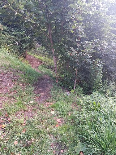 Vukmix : the fort trail