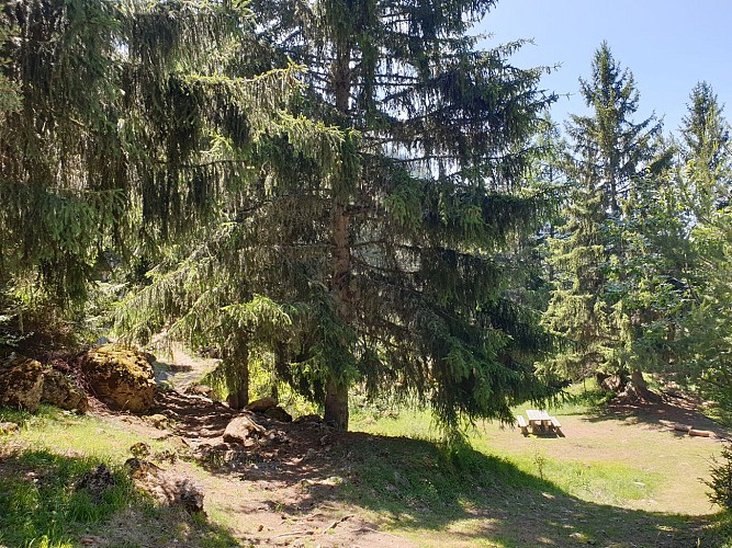 Tour du Glaisy (small loop)