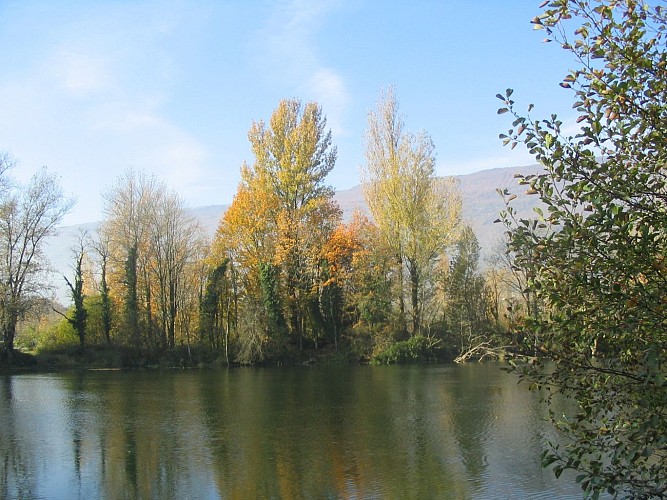 Promenade confort : Sentier ornithologique du Fier