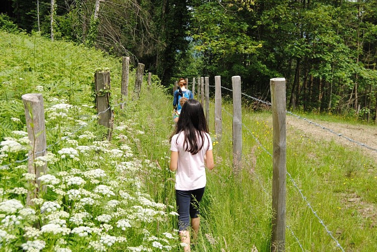 Tour des Charbonnières