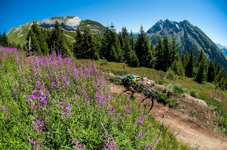 Enduro des Juments - Piste VTT Enduro n°36