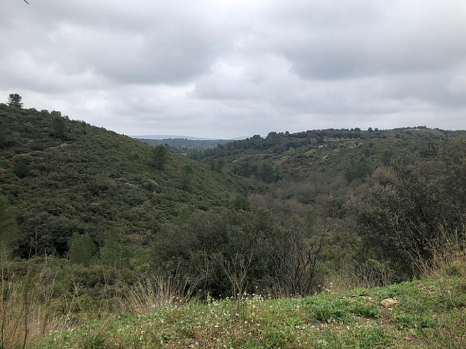 sur les traces du chemin de fer Montpellier-Rabieux
