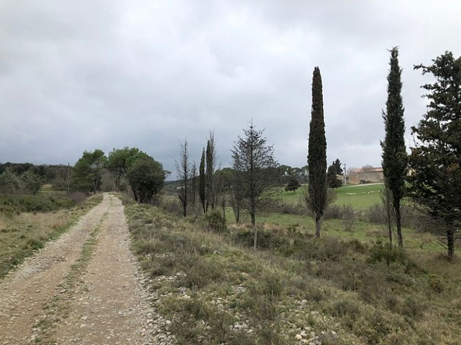sur les traces du chemin de fer Montpellier-Rabieux