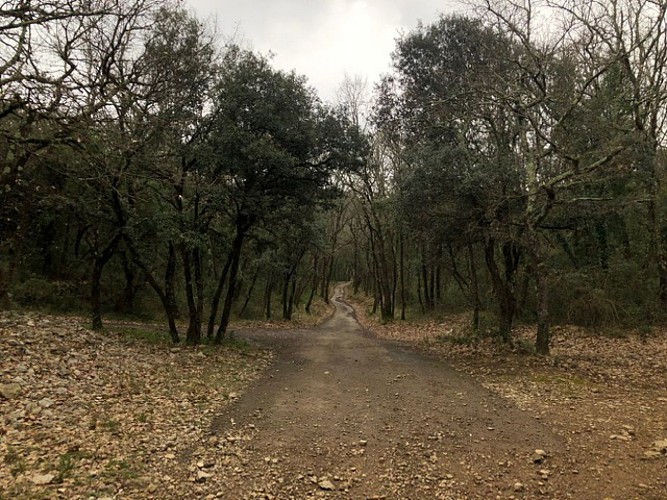 sur les traces du chemin de fer Montpellier-Rabieux