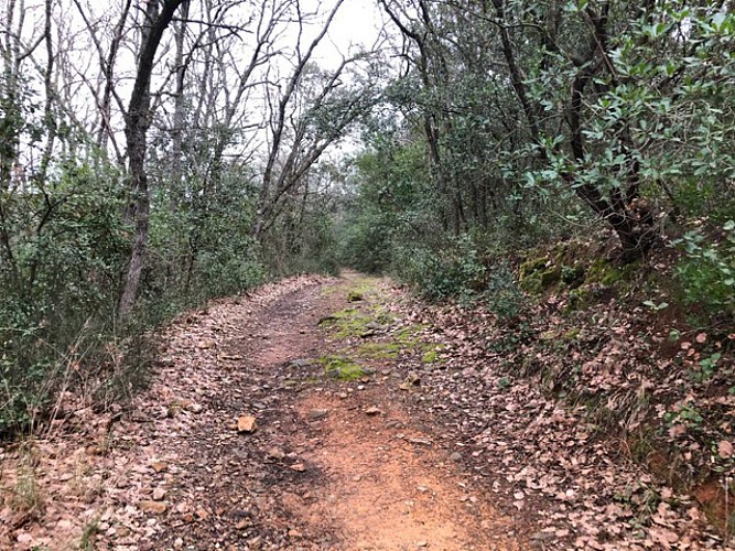 sur les traces du chemin de fer Montpellier-Rabieux