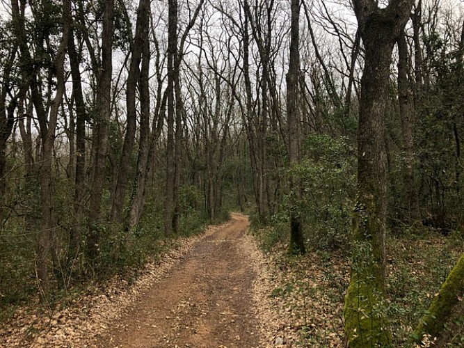 sur les traces du chemin de fer Montpellier-Rabieux