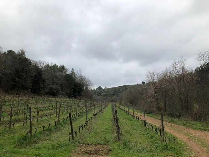sur les traces du chemin de fer Montpellier-Rabieux