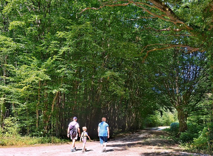 SENTIER DE RANDONNÉE MARAIS ET PATRIMOINE- BEAUFORT EN VALLÉE