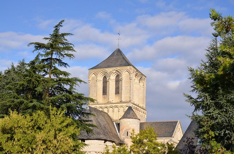 SENTIER DE RANDONNÉE MARAIS: FAUNE ET FLORE -BRION