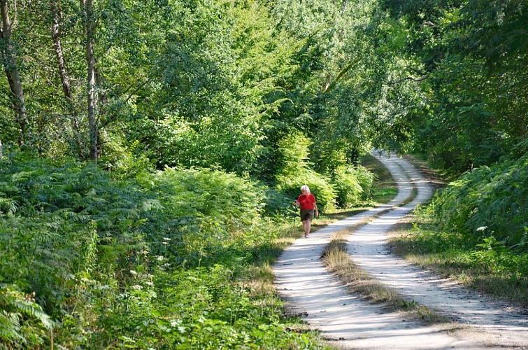 SENTIER EQUESTRE DES BOIS D'ANJOU -FONTAINE GUÉRIN