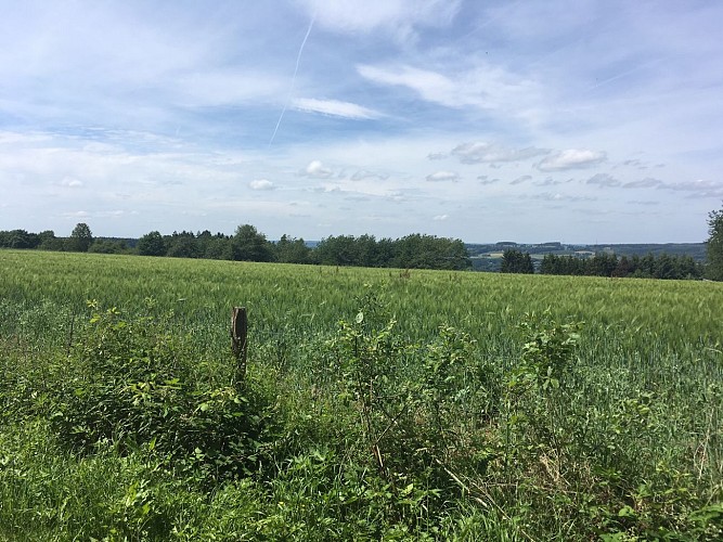 Promenade de Burnontige