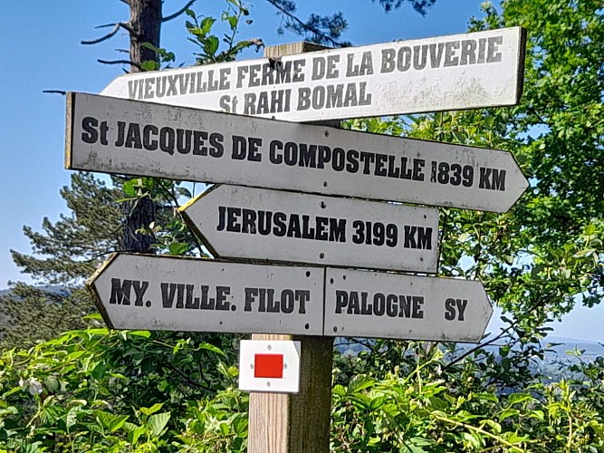 Thumbnail_1000000047