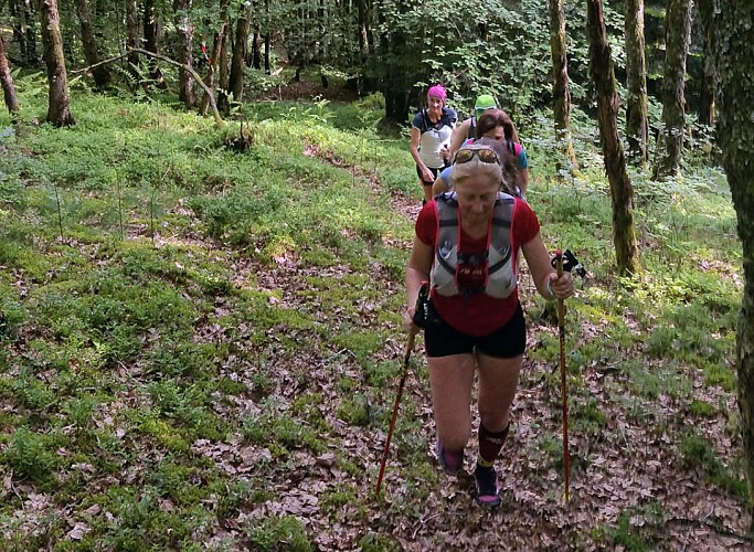 Trail de Bugeat : La Boucle des myrtilles