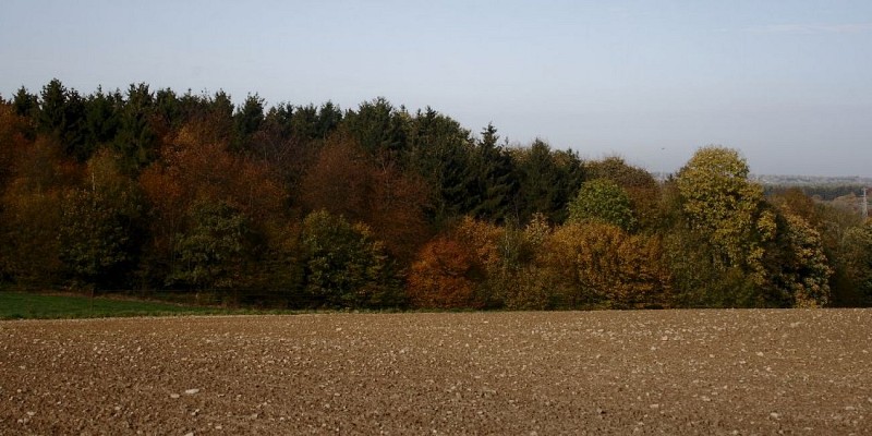 Tavier carrefour des Cinq Chemins