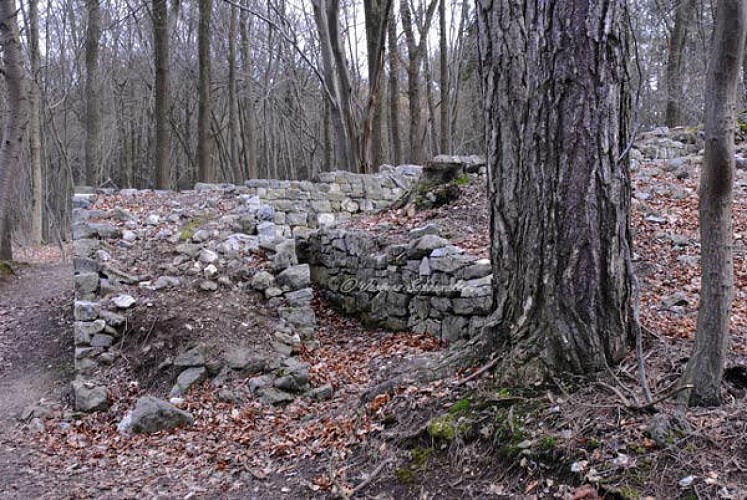 Ruines-Vieuxjardin-68