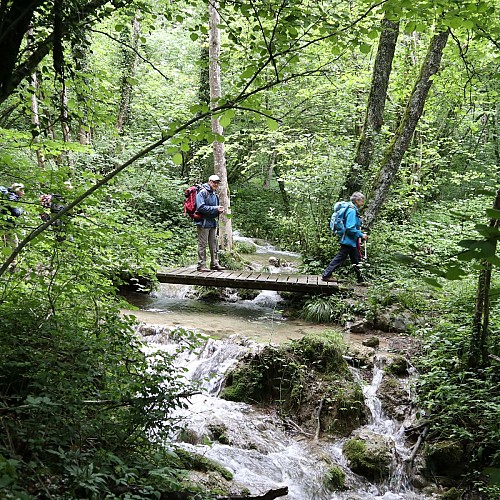 Ruisseau du Plantay (sur variante raccourci)