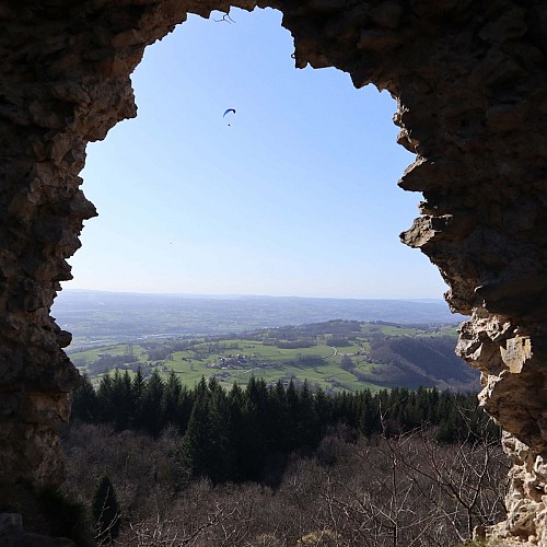 Ruine du château de Montbel