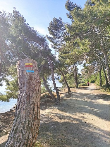 GR2013 - A10 - Du Ranquet aux Heures Claires (Istres)