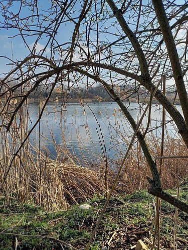 Réserve naturelle du Haut Geer