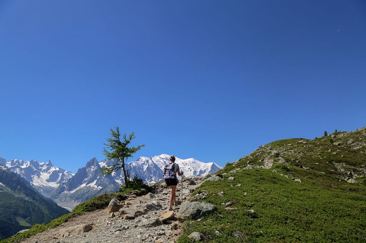 Wanderung Argentière > Chererys-See