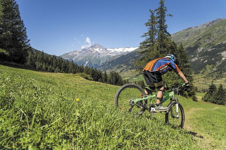 Cross-country : Les Champs