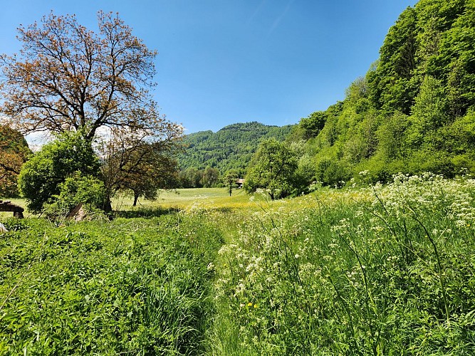 Hiking Trail - Le Tour des Oratoires de Mégevette
