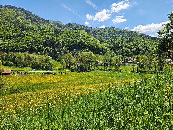 Hiking Trail - Le Tour des Oratoires de Mégevette