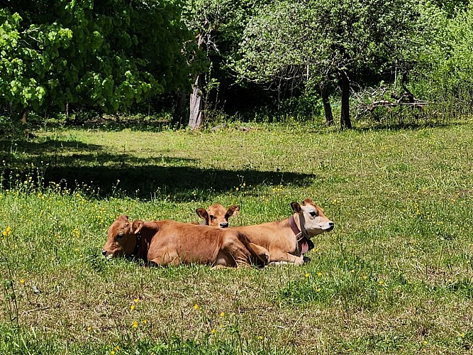 Randonnée "Le Tour des Oratoires de Mégevette"_Mégevette