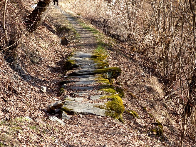 bief st michel landry