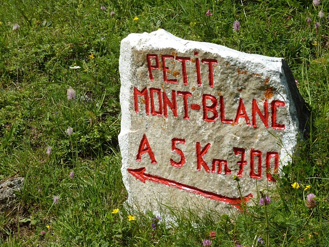 Le Petit Mont Blanc - Randonnée pédestre en boucle