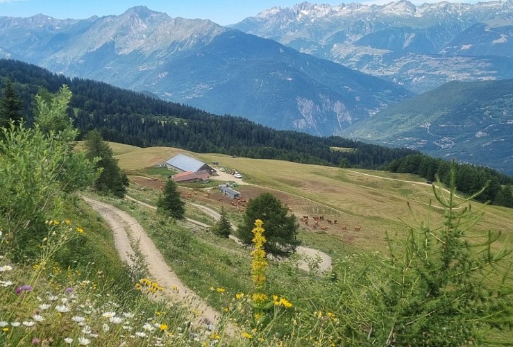 Itinerary Le Mont Jovet (Loop from Notre-Dame-du-Pré)