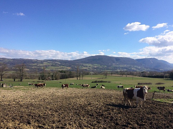 Wanderung - Landwirtschaft zwischen Usses und Rhône