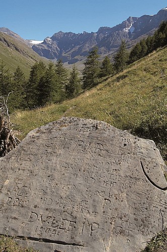 Alpine Walking Trail