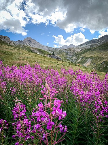 Chemin pédestre de la Duis