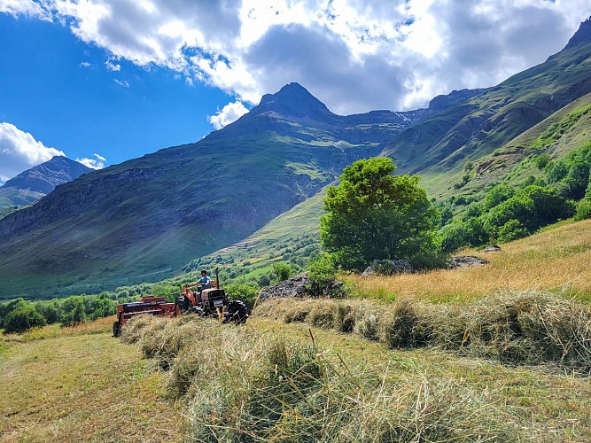 Il sentiero di Mandes