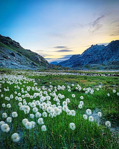 Perrin Lakes wandellus