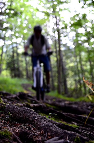 Chemins du Soleil - La traversée de la Chartreuse à VTT