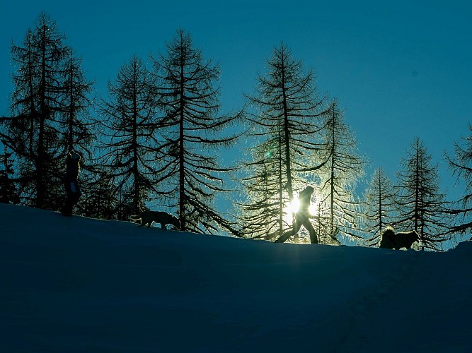 Wanderroute: Sentiers du Revers