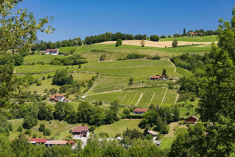 Wanderung - Le Crêt de Tilly
